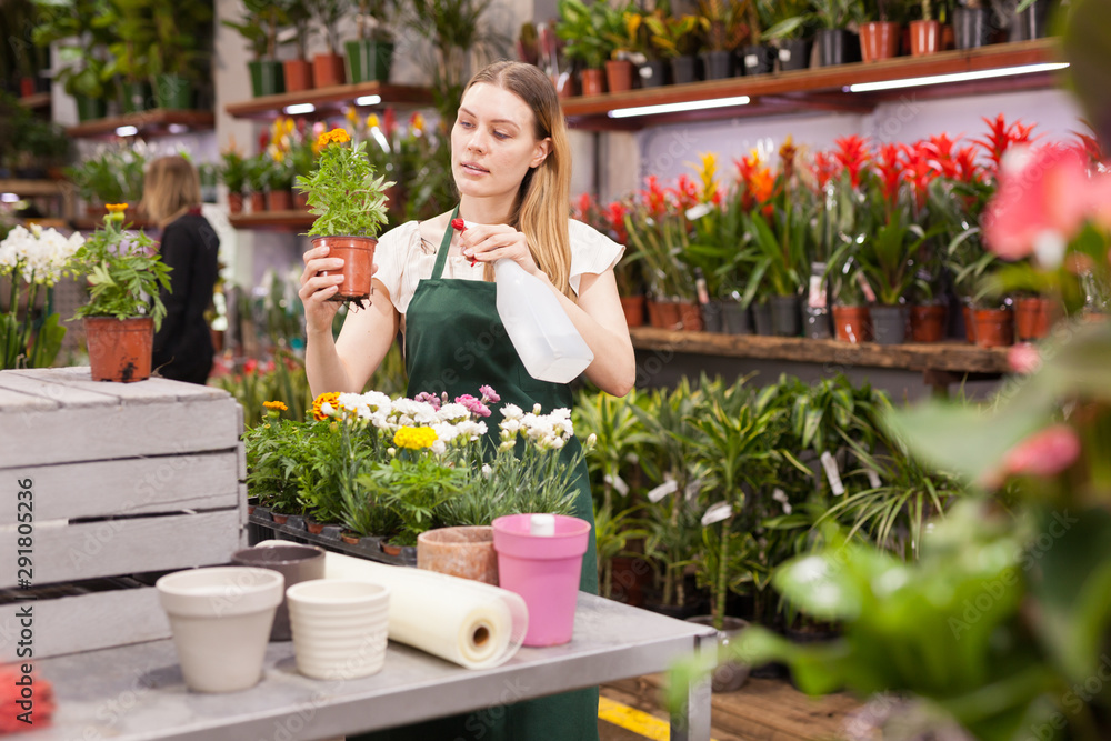 Same Day Flower Delivery in Sydney