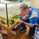 Pest Control Termite Treatment: What Everyday Homeowners Should Know Before Renovating