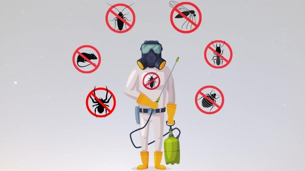 pest control termite treatment