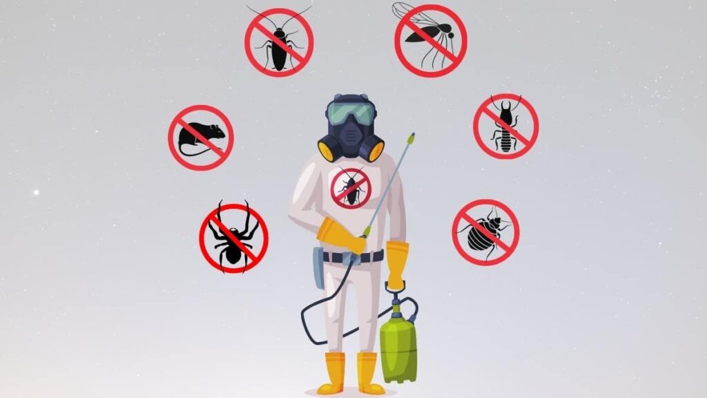 pest control termite treatment