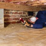 How Often Should You Schedule Pest Inspections Sydney for Maximum Protection?