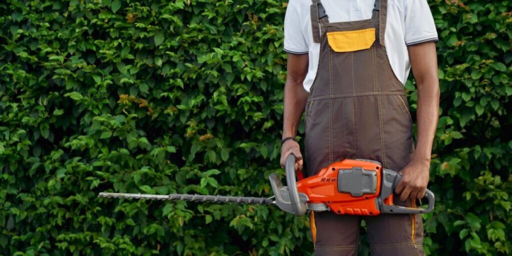 Hedge Trimming Service