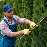 Hedge Trimming Service: How Often Should You Trim for Healthy Growth?