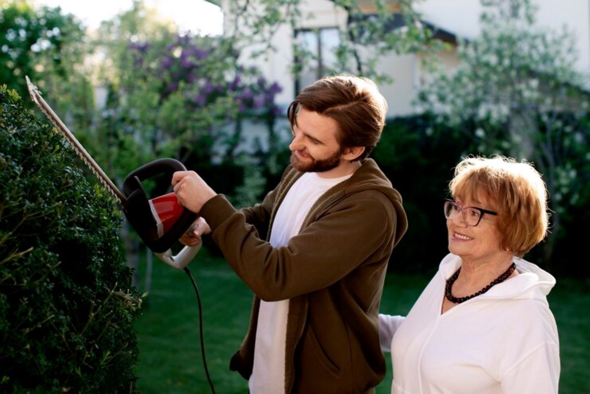 hedge shaping