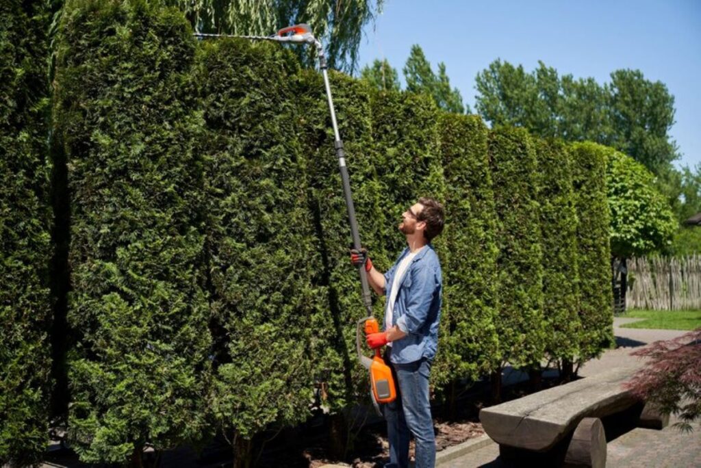 hedge shaping