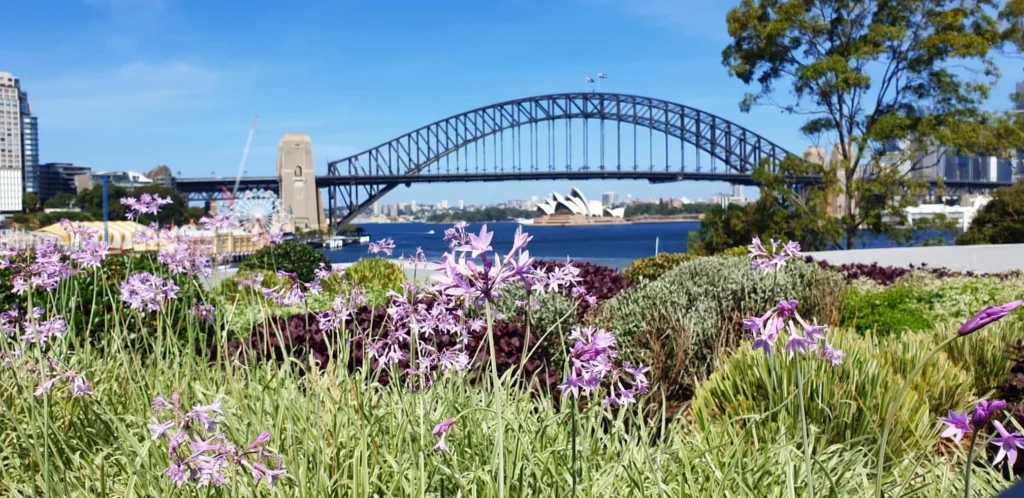 Northbridge Florist: Flowers for Sydney's SuspensionBridge Suburb