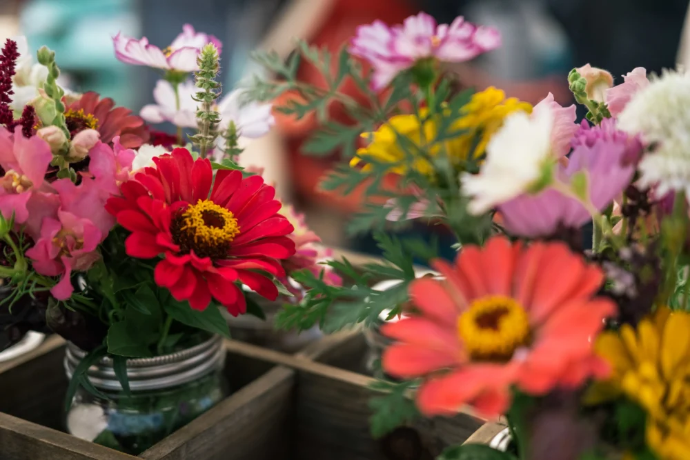 Florist Willoughby: A Local Guide to Buying Flowers in 2068
