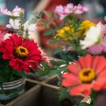 Florist Willoughby: A Local Guide to Buying Flowers in 2068