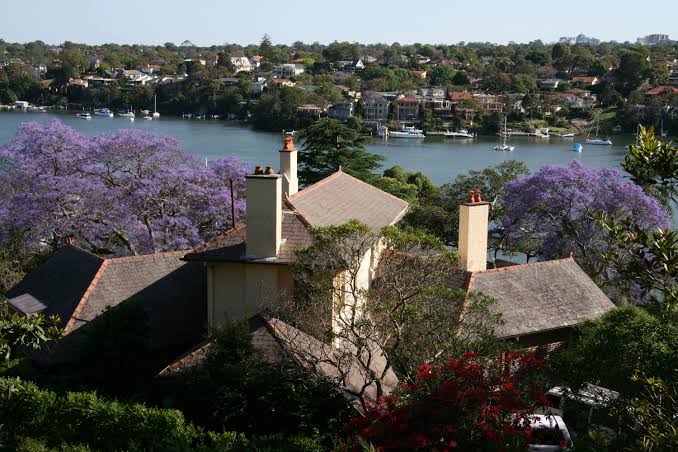 Hunters Hill Florist: Flowers for Australia's Oldest Garden Suburb